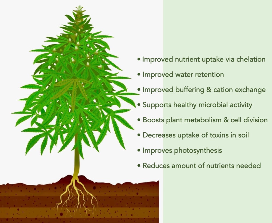 The Benefits Of Humic and Fulvic Acids