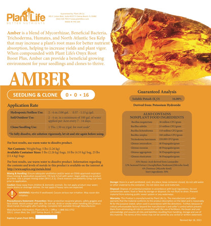 Amber Seedling & Clone 0-0-16